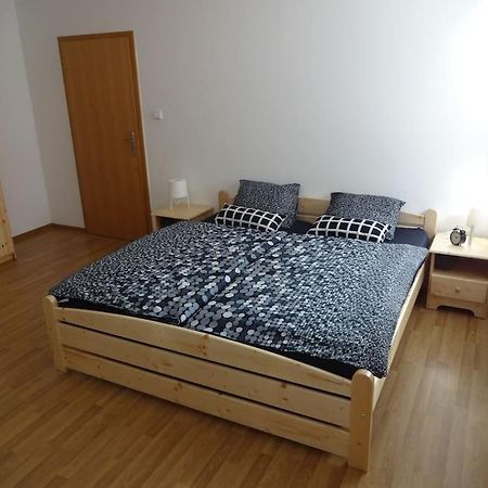 Luxusni Apartman V Centru Boziho Daru Boží Dar エクステリア 写真