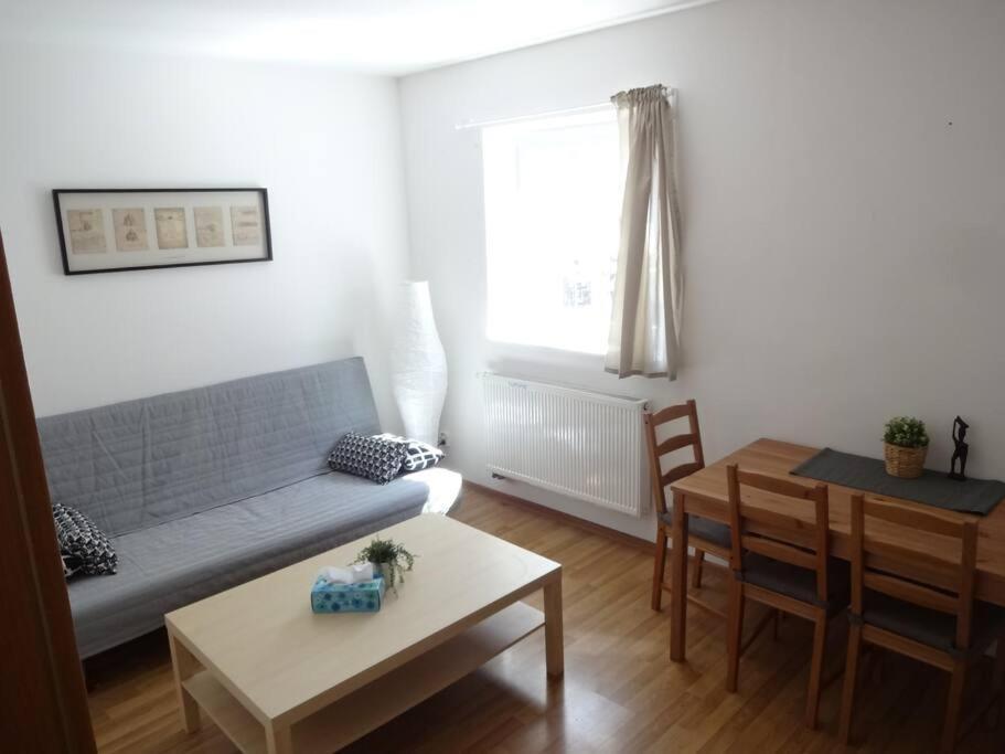 Luxusni Apartman V Centru Boziho Daru Boží Dar エクステリア 写真