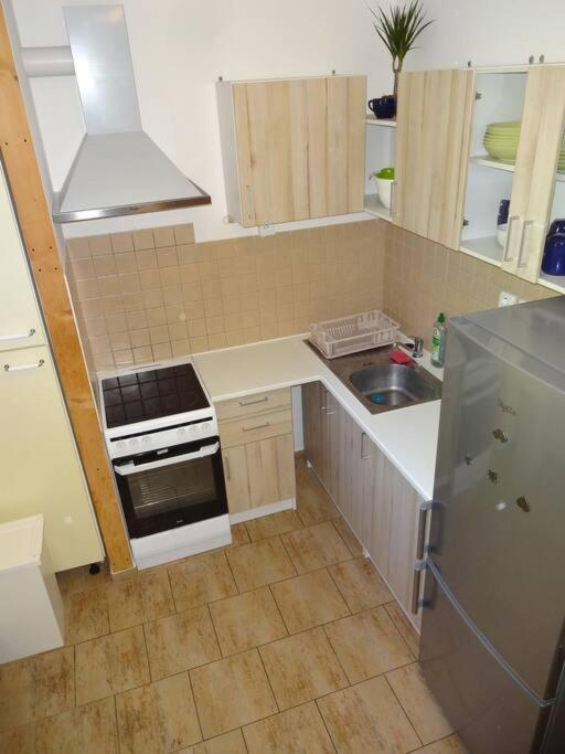 Luxusni Apartman V Centru Boziho Daru Boží Dar エクステリア 写真